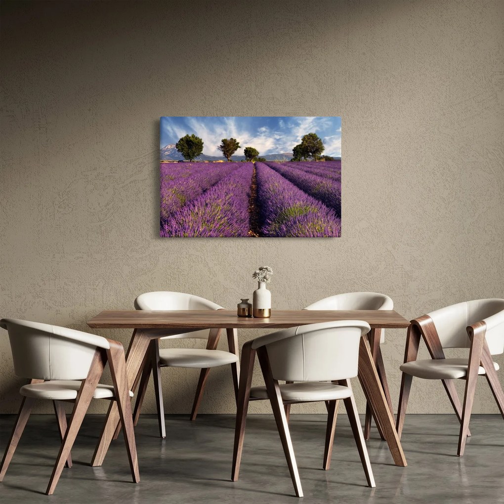 Obraz - Levanduľové pole a hory (90x60 cm)
