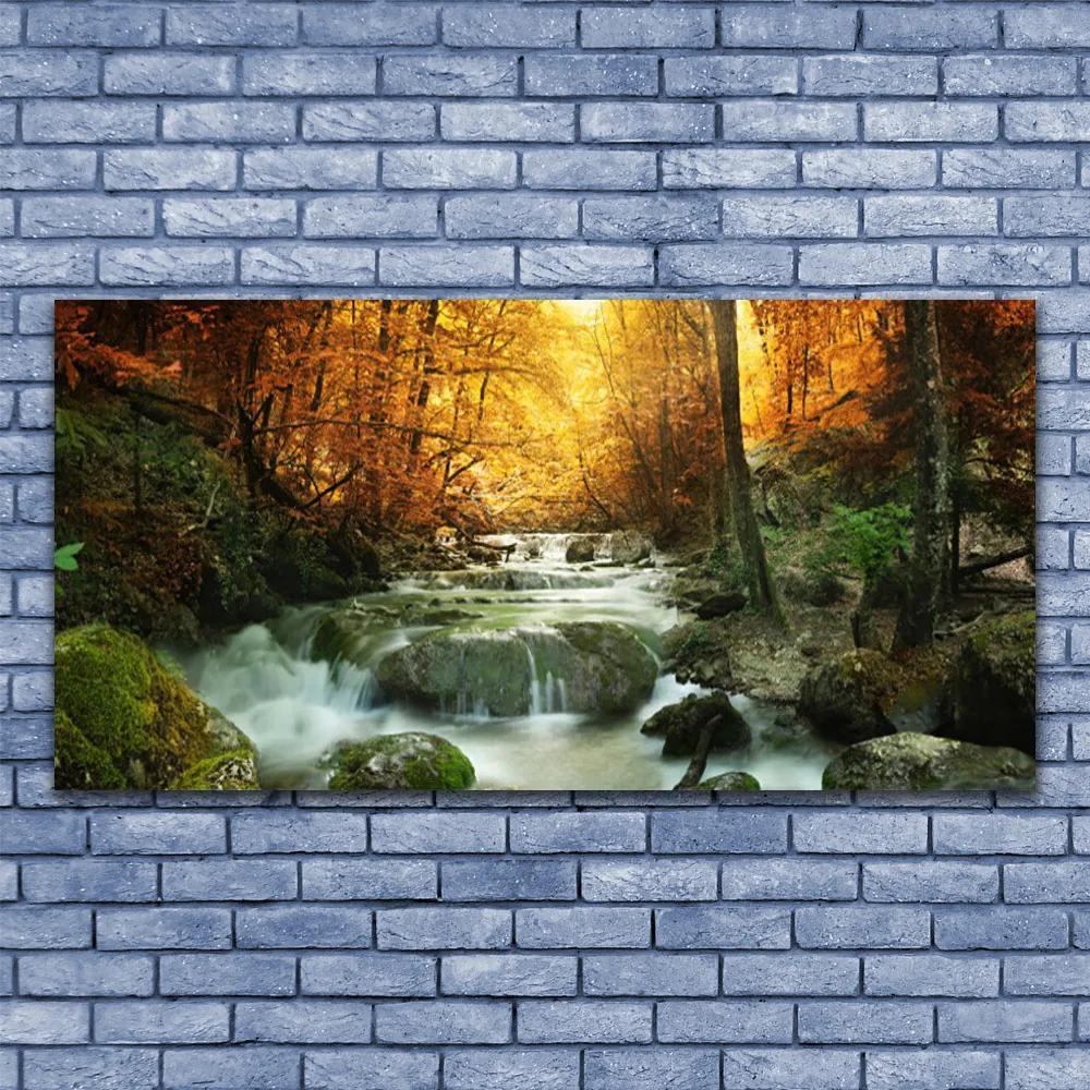 Obraz plexi Vodopád príroda les jeseň 120x60 cm