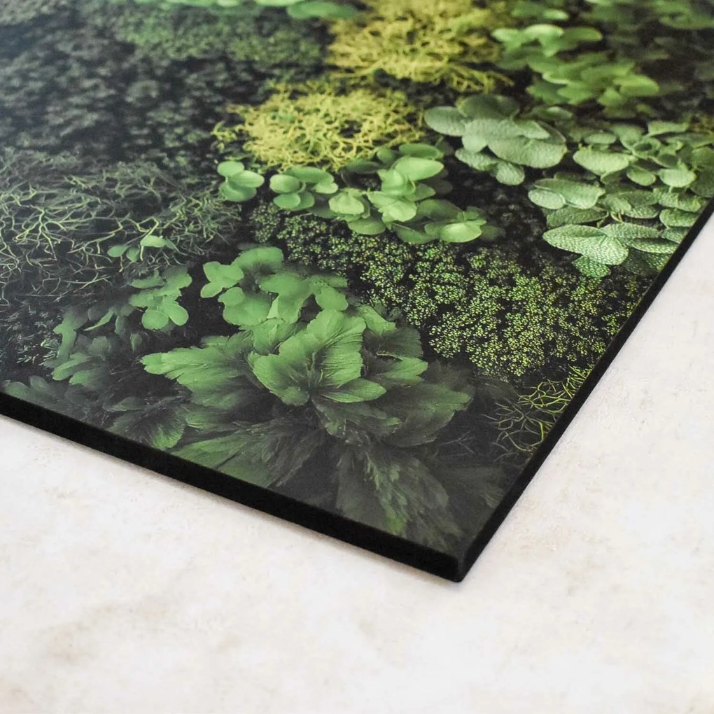 DUBLEZ | Tlačený machový obraz na stenu