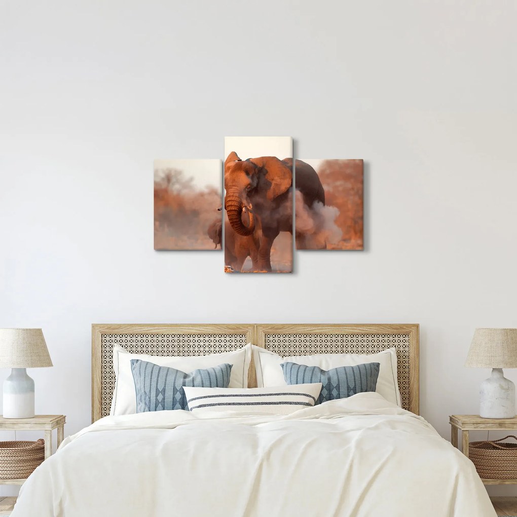 Obraz - Veľký slon africký (90x60 cm)