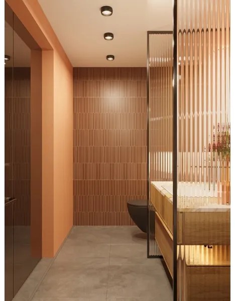 MAXLIGHT C0204 - LED Kúpeľňové stropné svietidlo KODAK LED/8W/230V IP44 čierna