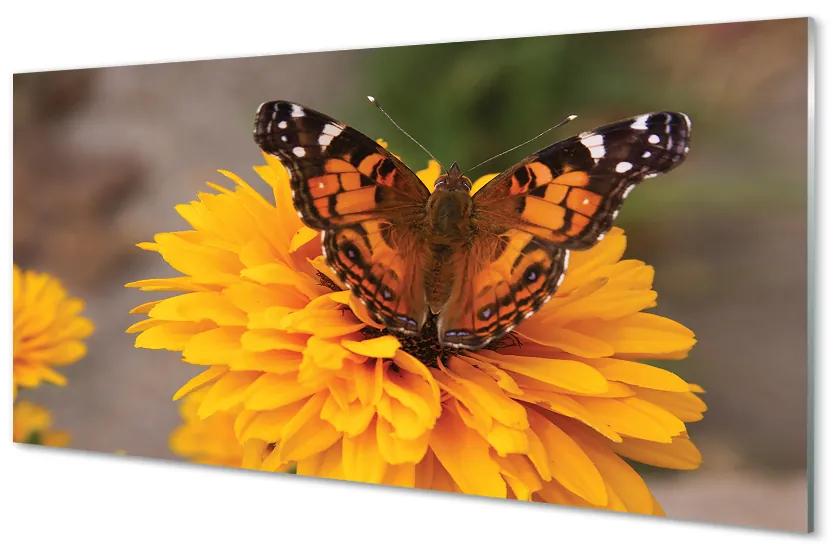 Sklenený obraz Farebný motýľ kvetina 120x60 cm