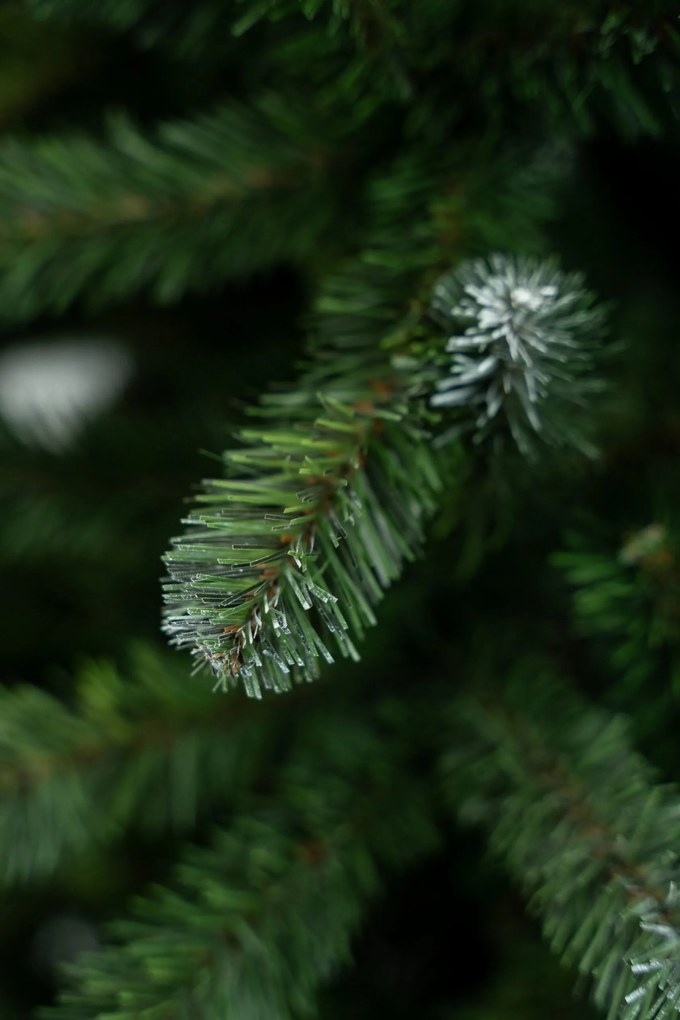 Limpol Umelý vianočný stromček Smrek Konrad 1,80 m biely