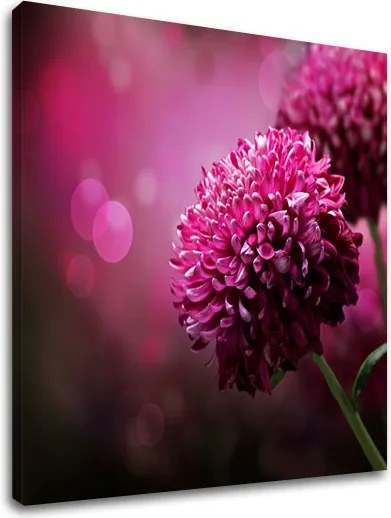 Obraz na stenu RUŽOVÉ KVETY_149-11