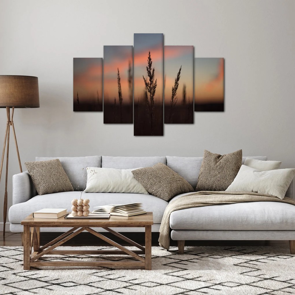 Obraz - Silueta rastliny (150x105 cm)