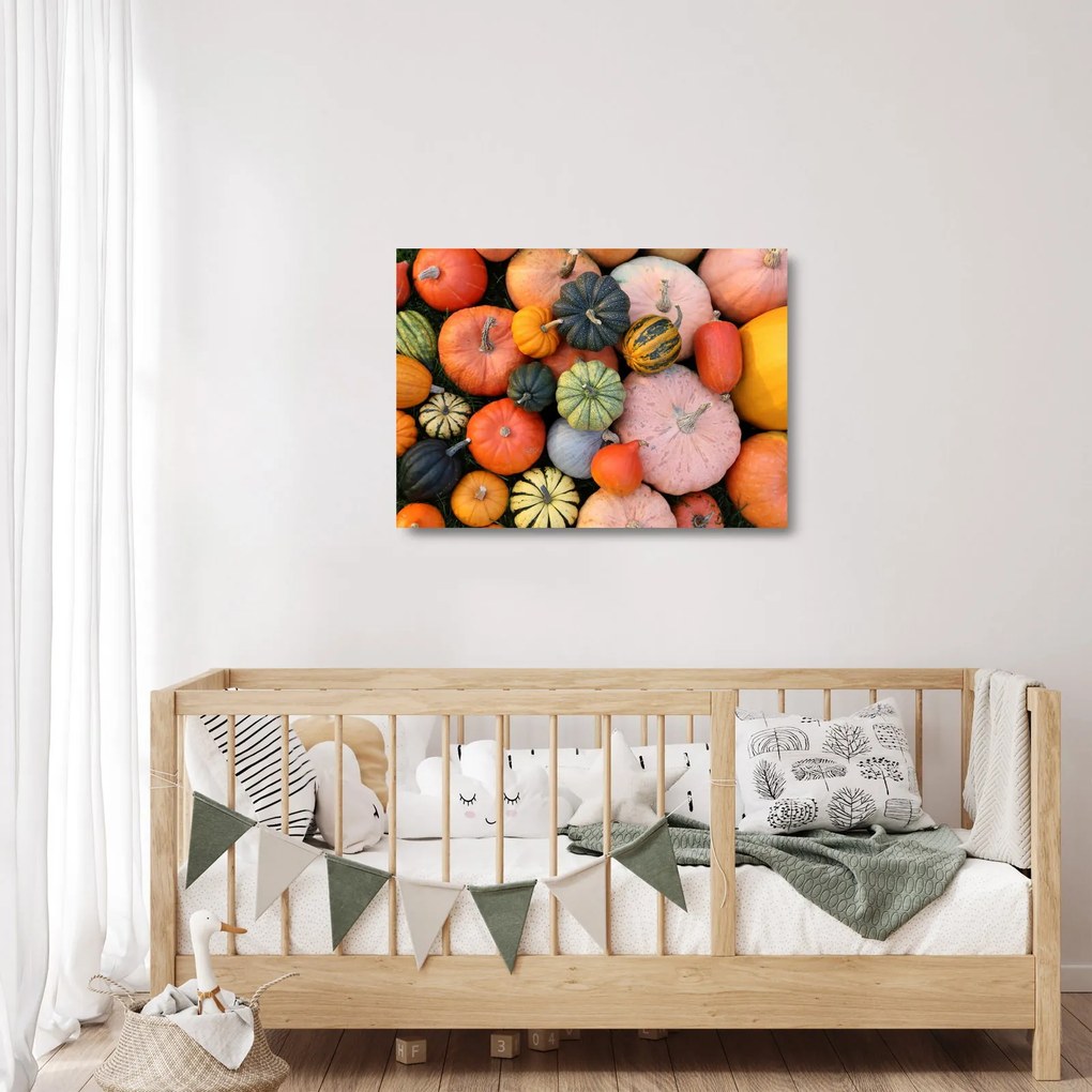 Sklenený obraz - Tekvica (70x50 cm)