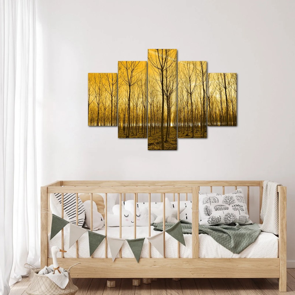 Obraz lesa pri západe slnka (150x105 cm)
