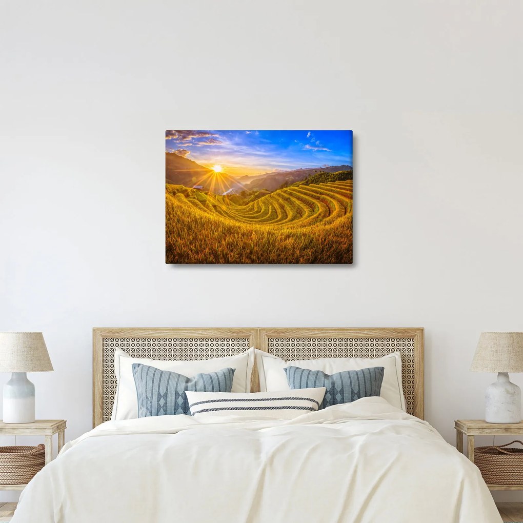 Obraz - Ryžové terasy vo Vietname (70x50 cm)