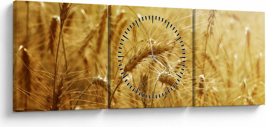 Obraz - Klasy obilia (s hodinami) (90x30 cm)