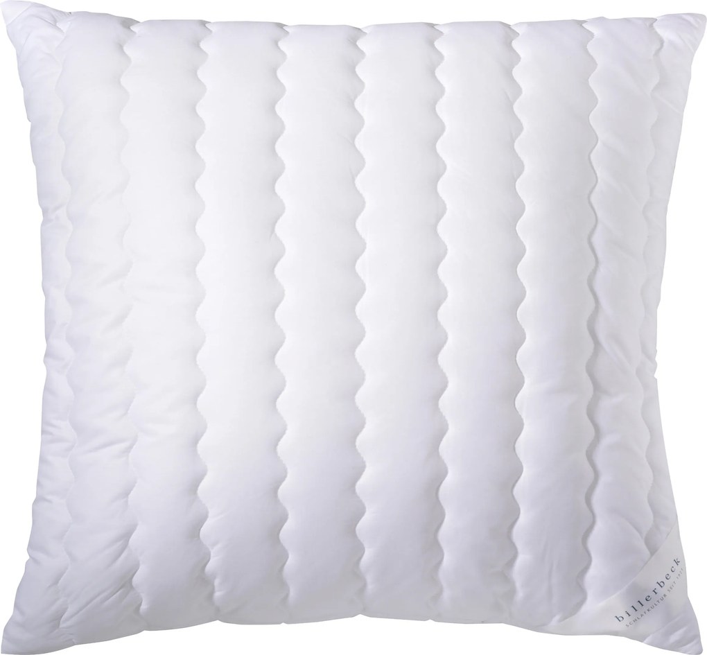 XXXLutz VANKÚŠ POD HLAVU, 80/80 cm Billerbeck - Prikrývky & vankúše - 003279053501