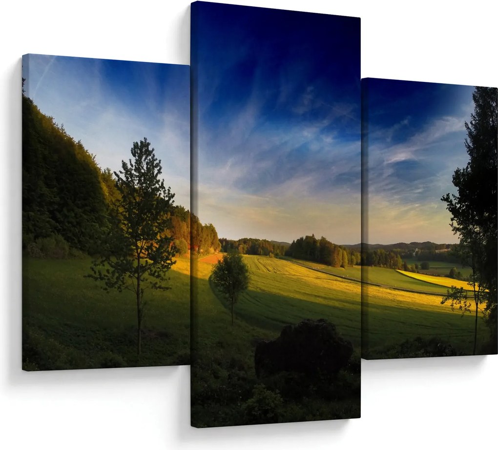 Obraz - Horská lúka (90x60 cm)