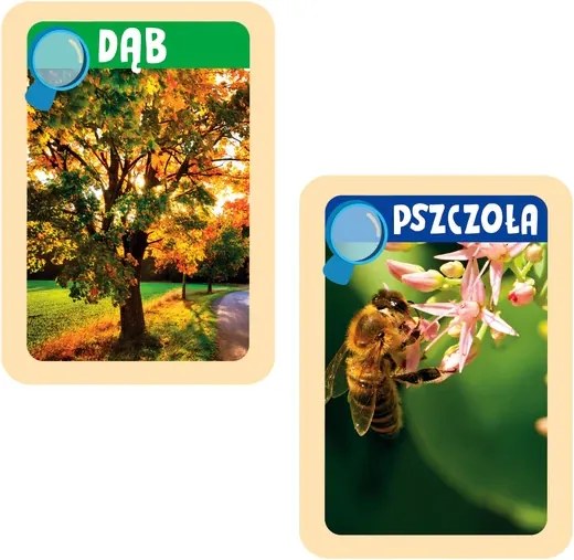 Prírodovedný zábavný ďalekohľad Clementoni 50894