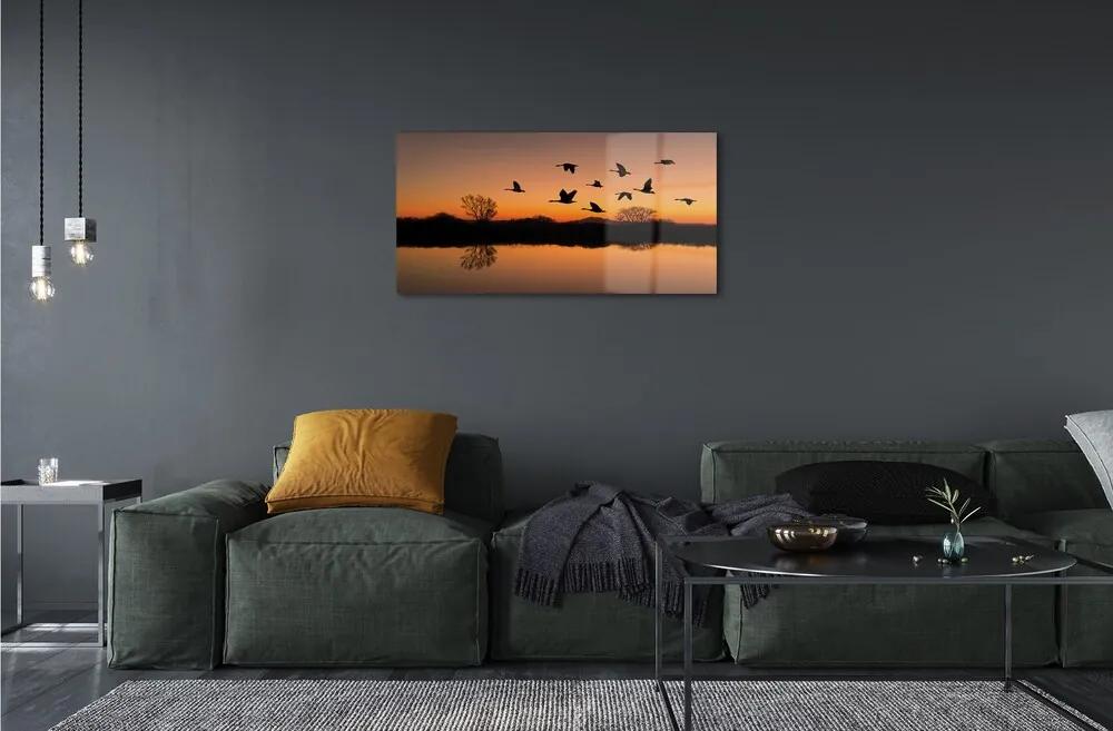 Sklenený obraz Lietajúce vtáky sunset 100x50 cm