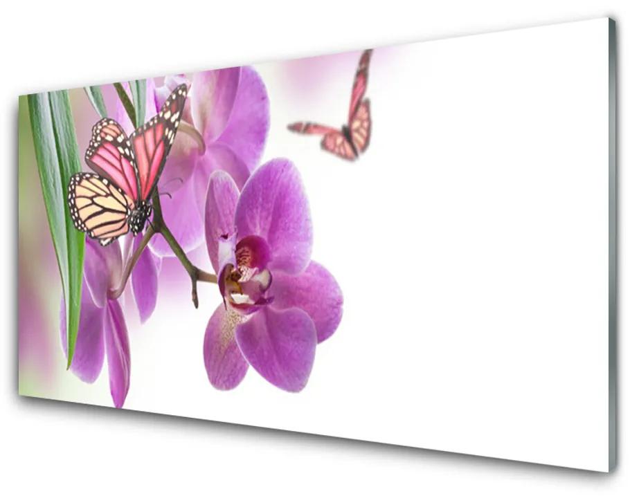 Skleneny obraz Motýle kvety príroda 125x50 cm