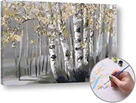 Maľovanie podľa čísel BREZOVÝ HÁJ