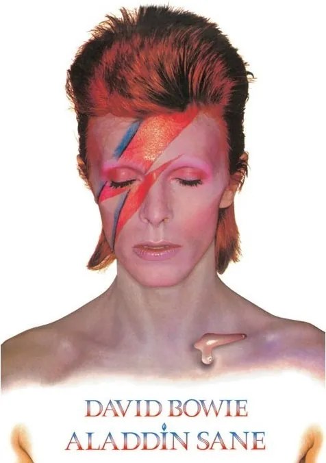 Plagát, Obraz - David Bowie - Aladdin Sane, (61 x 91.5 cm)