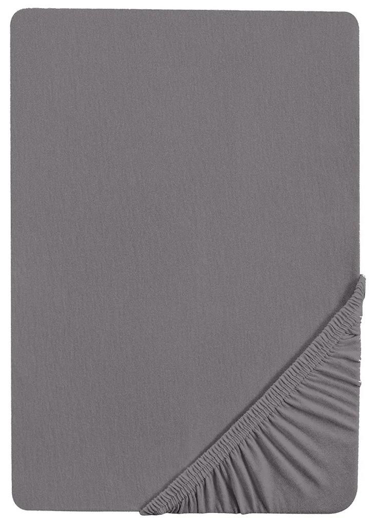 Biberna Napínacia džersejová plachta (90 – 100 x 200 cm, strieborná/sivá)  (100227068)
