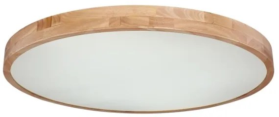 Globo 41745-60 - LED Stmievateľné stropné svietidlo RAINER LED/60W/230V + DO