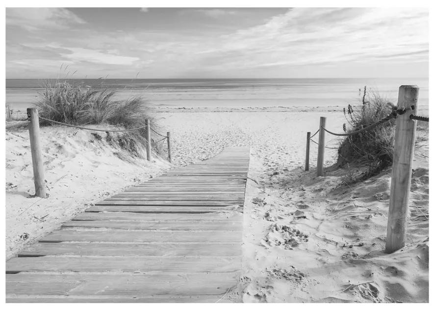 Artgeist Fototapeta - On the beach - black and white Veľkosť: 250x175, Verzia: Premium