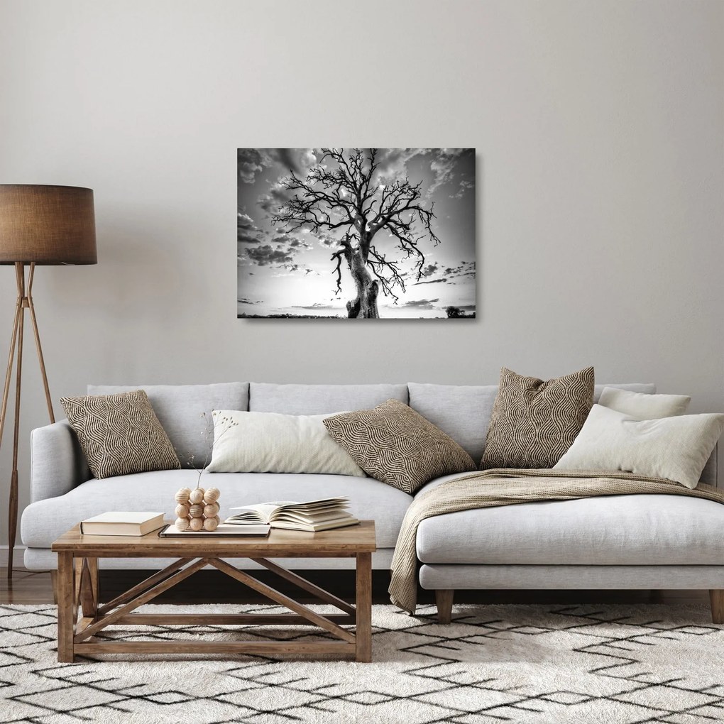 Sklenený obraz - Čiernobiely strom (70x50 cm)