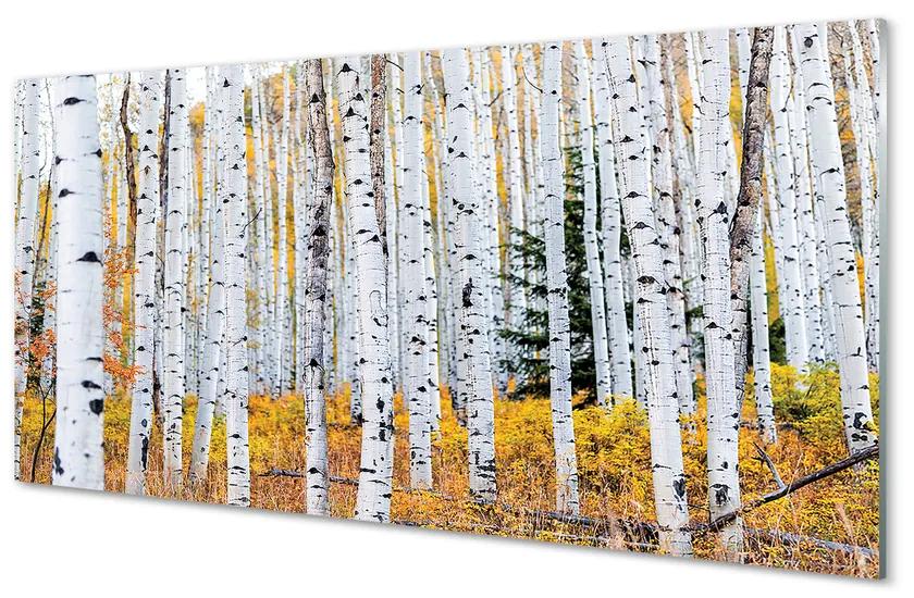 Nástenný panel  jesene breza 100x50 cm