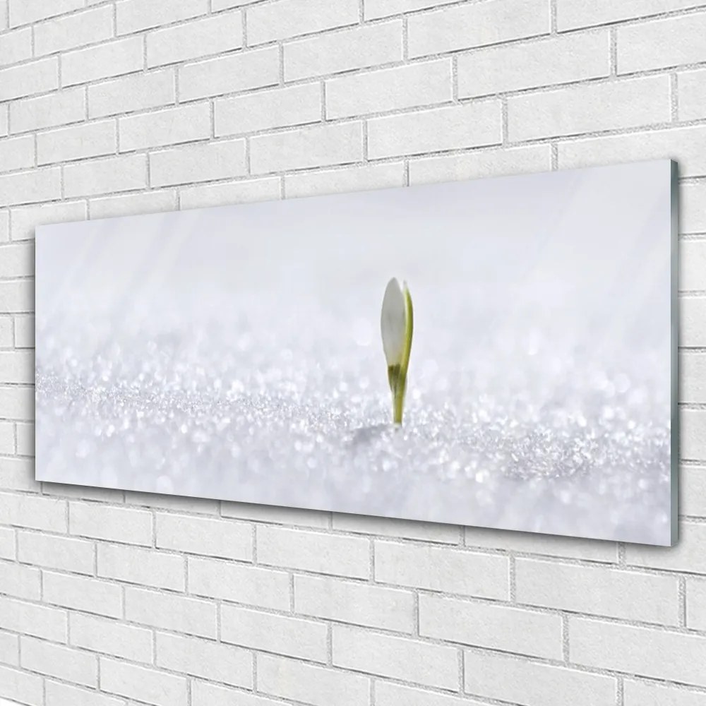 Obraz plexi Snežienka sneh zima 125x50 cm