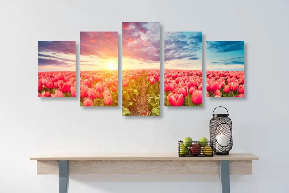 5-dielny obraz východ slnka nad lúkou s tulipánmi
