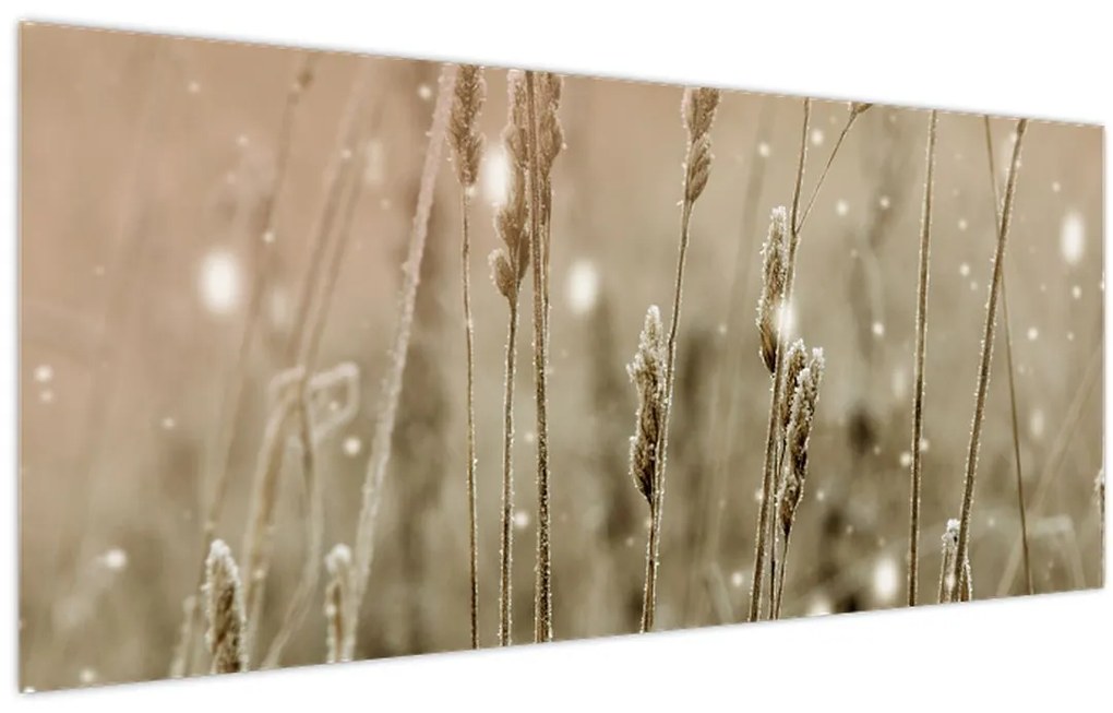Obraz - Harmonická lúka (120x50 cm)