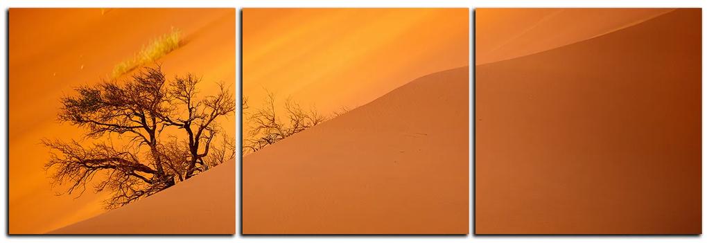 Obraz na plátne - Červené piesočné duny - panoráma 5133B (150x50 cm)