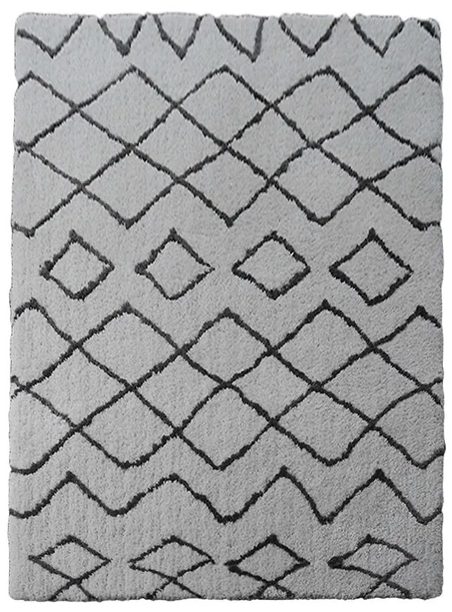 Koberec Shaggy Auckland 1,4/1,9 TD1078-B1