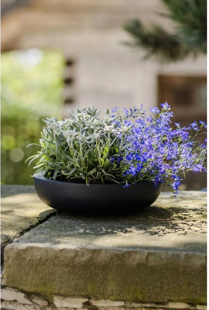 Okrasná miska PLANA, sklolaminát, 9xØ34 cm, antracit