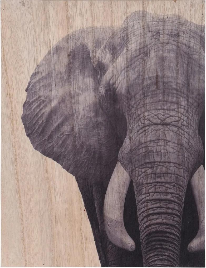 Obraz na dreve Elephant, 28 x 38 cm