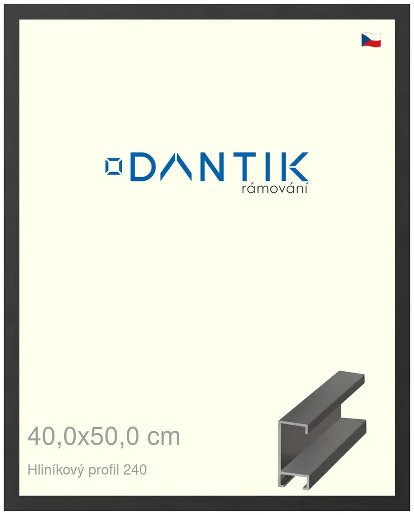 DANTIK rám na obraz 40x50 | ALU Černá matná (Sklo Čiré)