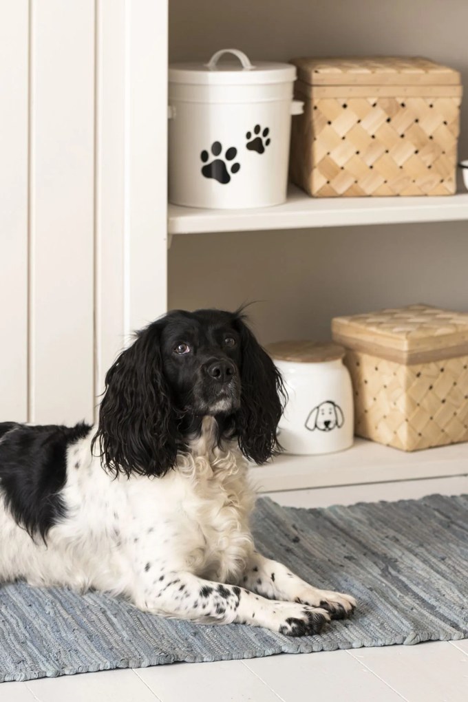 Ib Laursen Plechová dóza na granule pre psy White 2,2 l