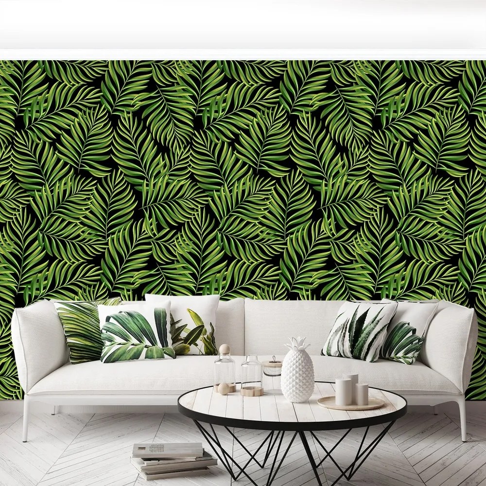 Fototapeta Vliesová Palmové listy 104x70 cm