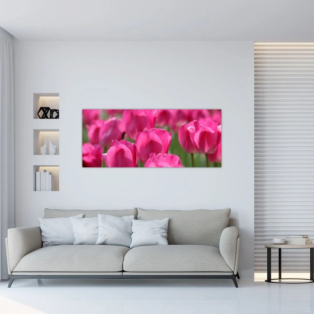 Obraz - Ružové tulipány (120x50 cm)