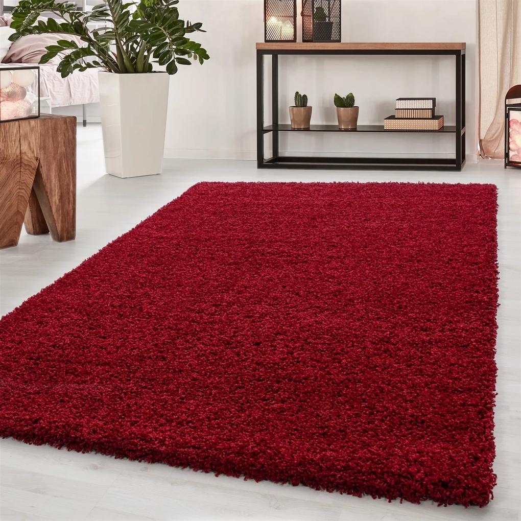 Ayyildiz Kusový koberec DREAM 4000, Červená Rozmer koberca: 65 x 130 cm