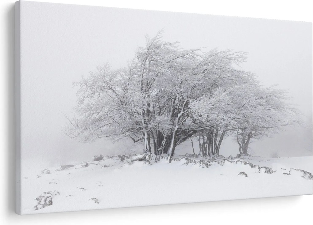Obraz - Biela zima (90x60 cm)