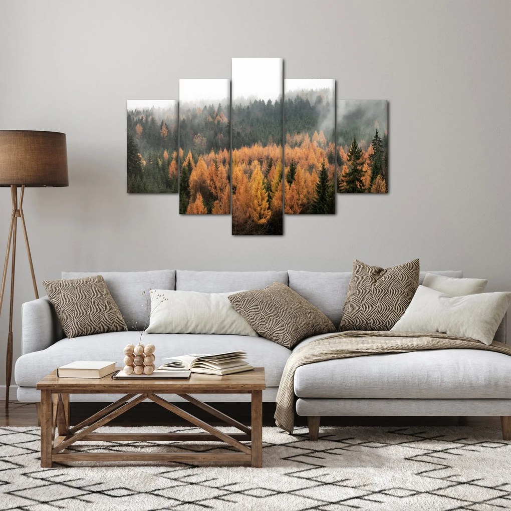 Obraz - Jesenný les (150x105 cm)
