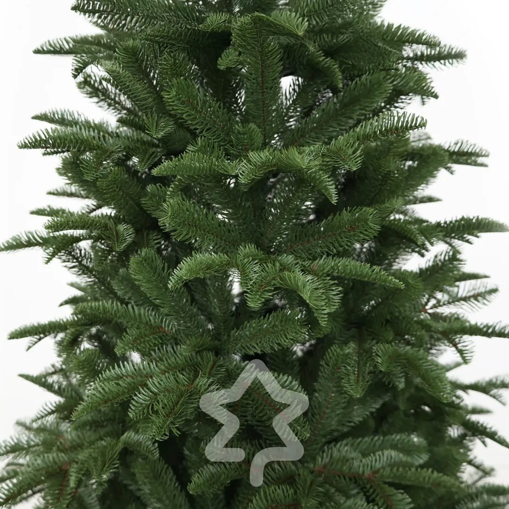 Jedľa Kaukazská 100% 150 cm