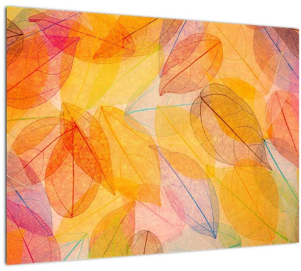 Sklenený obraz - Pozadie z jesenného lístia (70x50 cm)