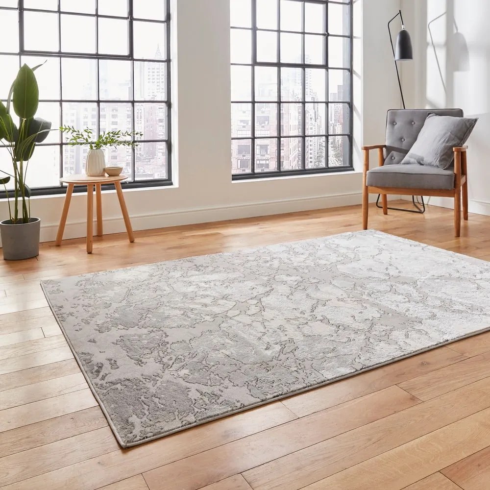 Sivý/béžový koberec 220x160 cm Apollo - Think Rugs