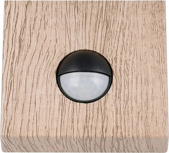 Nástenné vonkajšie svietidlo (výška 33 cm) Sambesi – Trio