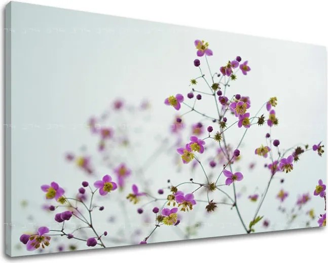 Obraz na stenu KVETY KV089E11 - 40x60 cm