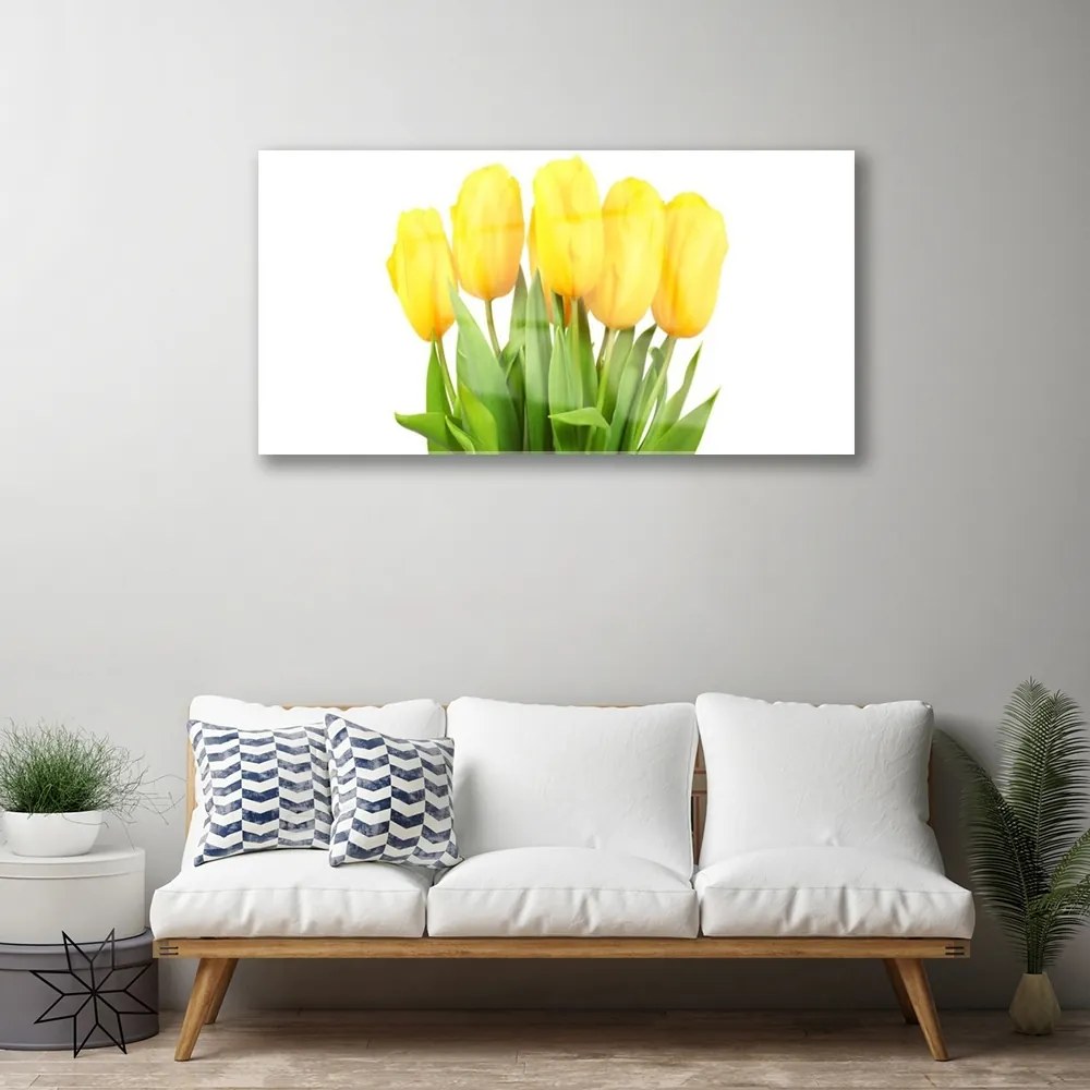 Skleneny obraz Tulipány kvety rastlina 100x50 cm