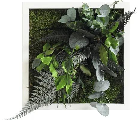 Obraz z rastlín styleGREEN Džungľa 22x22cm