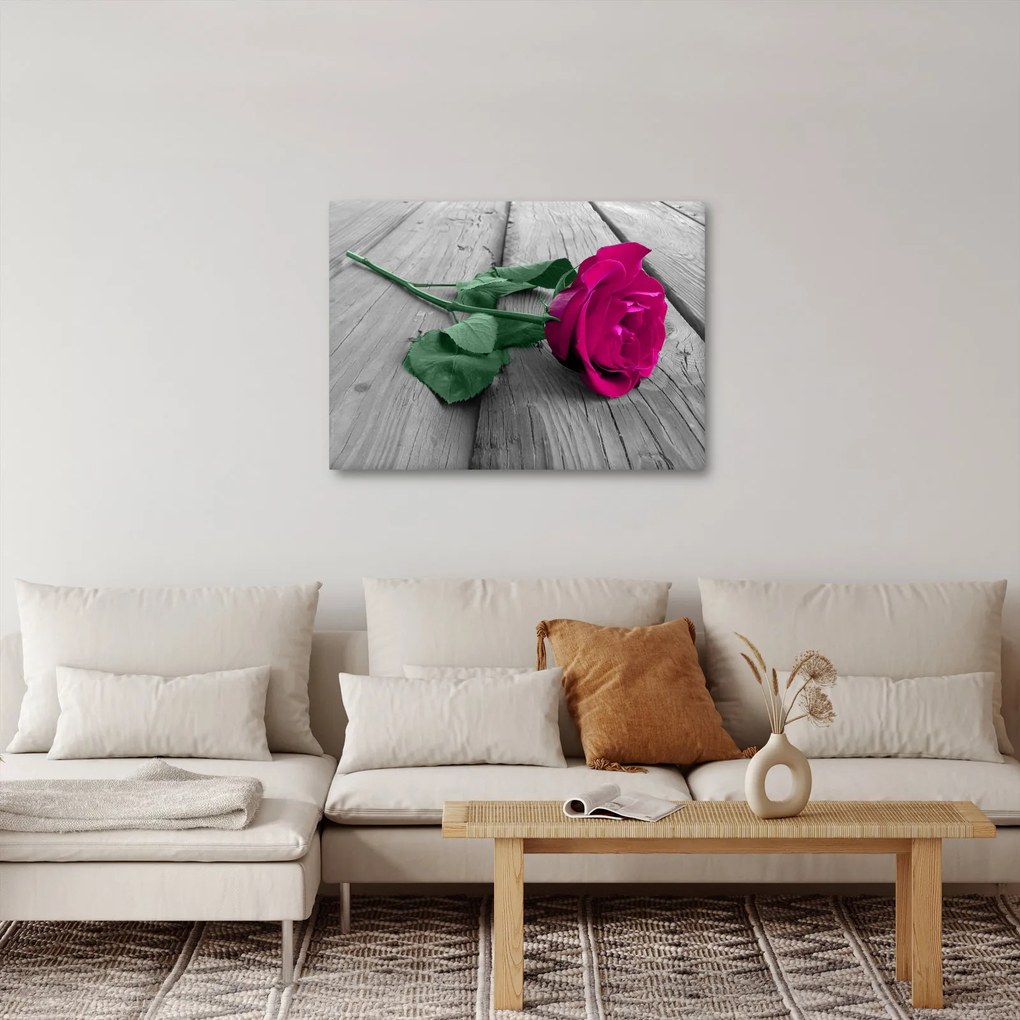 Obraz - Ružová ruža so zelenou stonkou (70x50 cm)