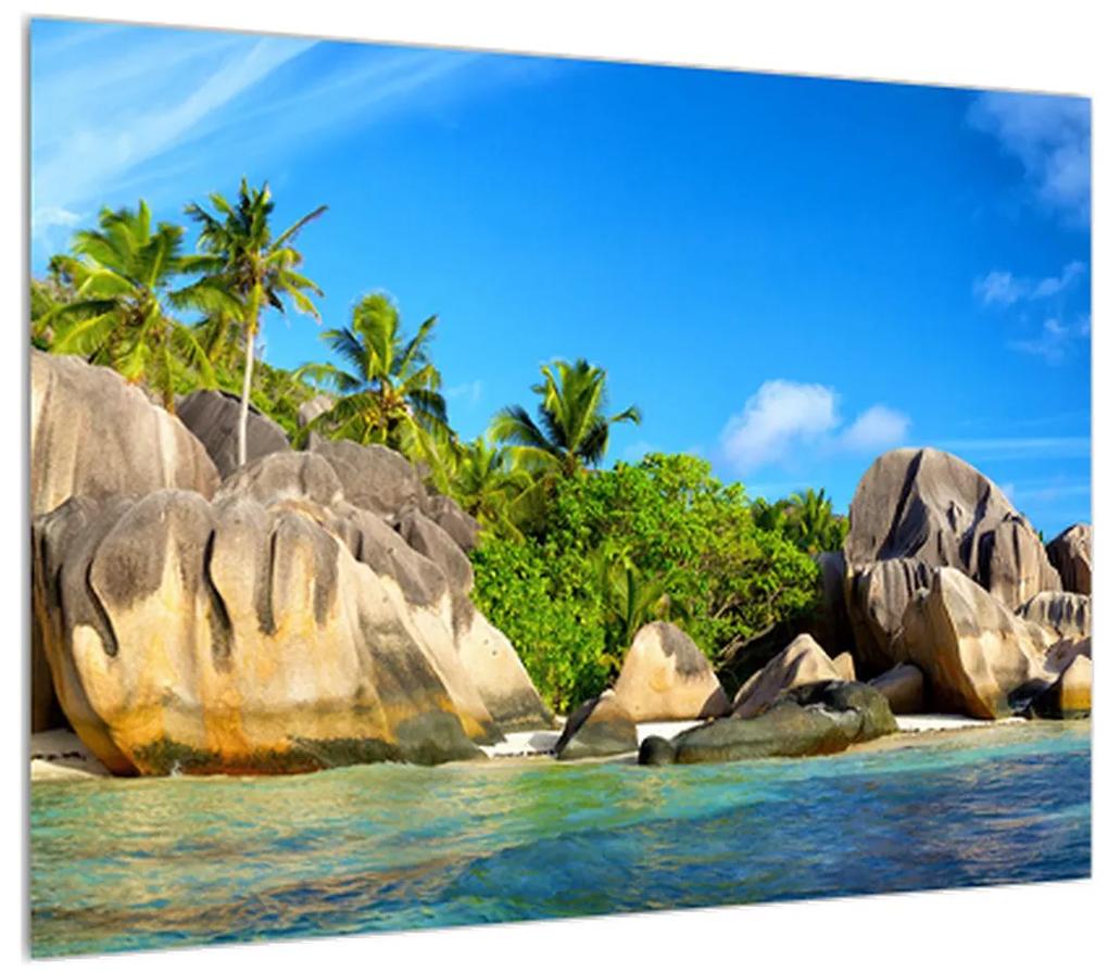 Obraz morskej pláže s palmami (70x50 cm)