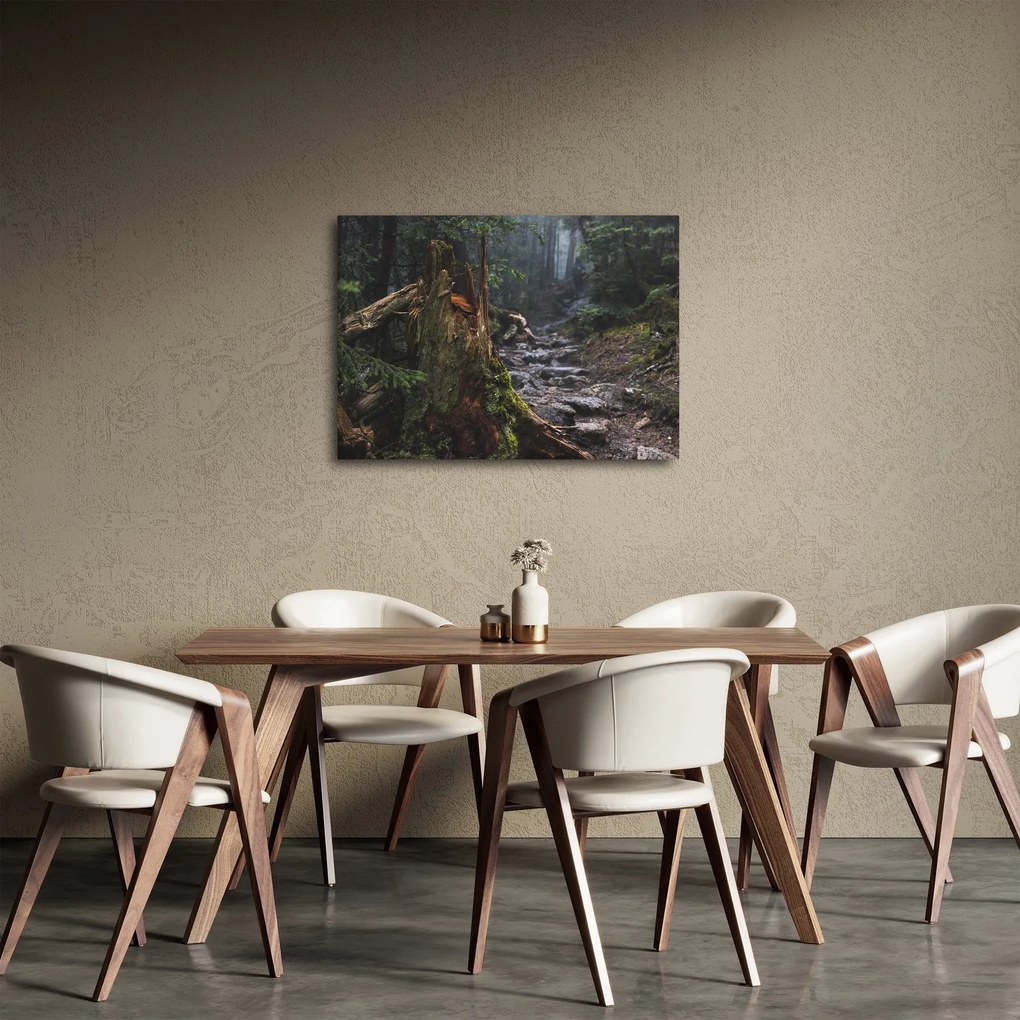 Obraz - V lese (70x50 cm)