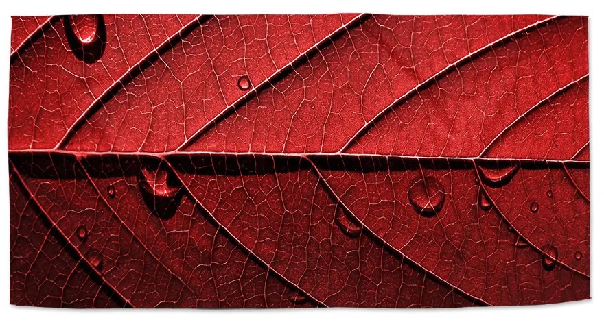 Sablio Uterák Červený list - 30x50 cm